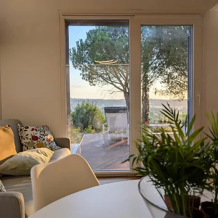 La Casa Nell'oliveta * Peccioli
